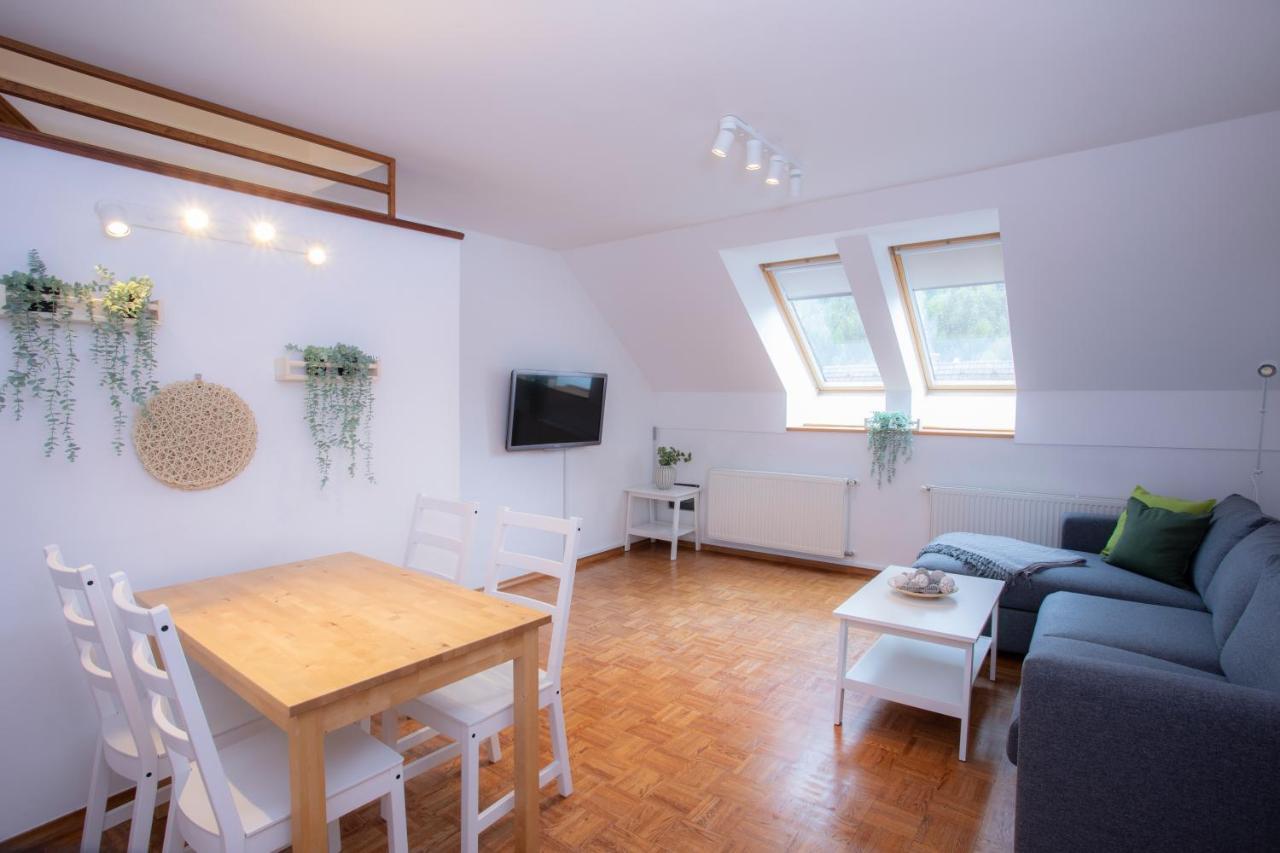 Duplex Apartment Panj 克拉尼斯卡戈拉 外观 照片