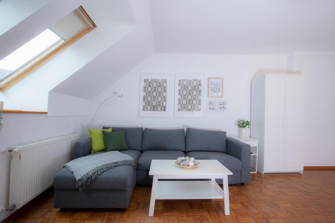Duplex Apartment Panj 克拉尼斯卡戈拉 外观 照片